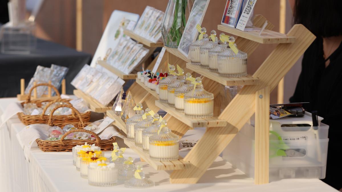 디어데이지 이미지