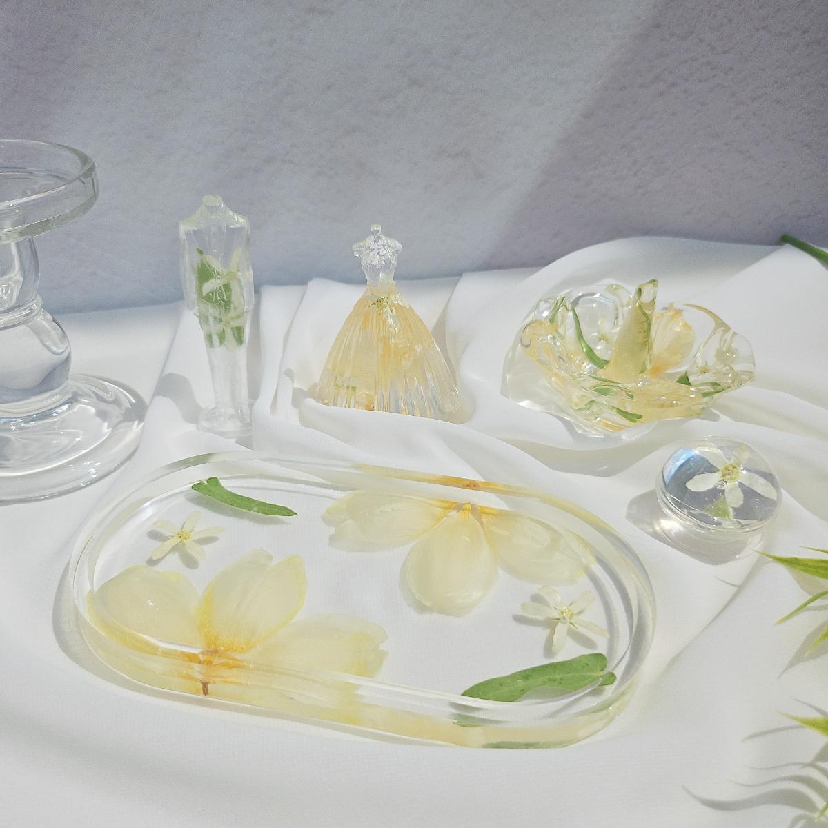 디어데이지 이미지