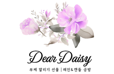 디어데이지 이미지